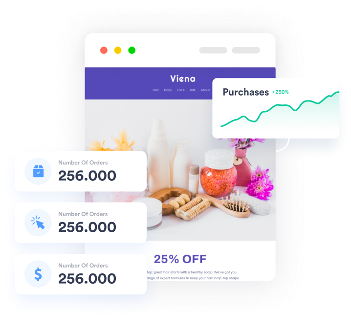 Shopify analytics dashboard showing a significant increase in purchases and a high number of orders for a beauty brand called Viena.